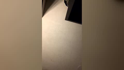 edioo online show from April 8, 8:47 am