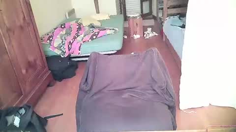 eheh60800 online show from December 5, 9:39 am