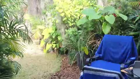 eliberator online show from January 18, 7:58 pm