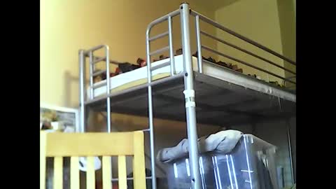 englishguysurrey online show from November 14, 12:06 pm