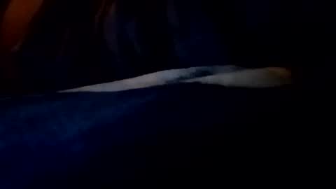 Evocation online show from November 2, 5:45 am