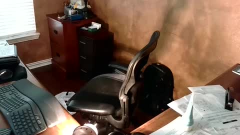 Snapshot of exhibitman69_ldb chatting on September 25, 10:52 pm exhibitman69_ldb online show from September 25, 10:52 pm