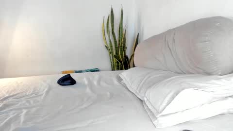 -  A N D E R online show from October 24, 2:30 pm