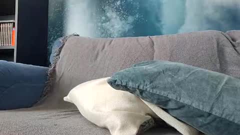 fapforfuckingfun online show from February 16, 9:48 am