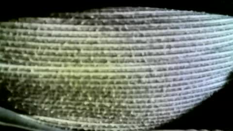 felicaste online show from March 4, 12:55 pm