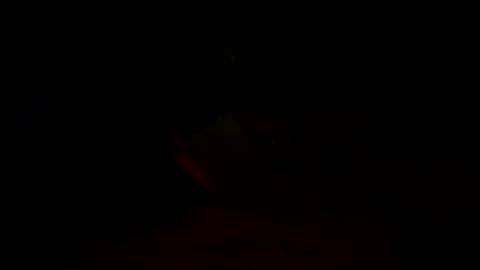 felixske online show from June 19, 8:09 am