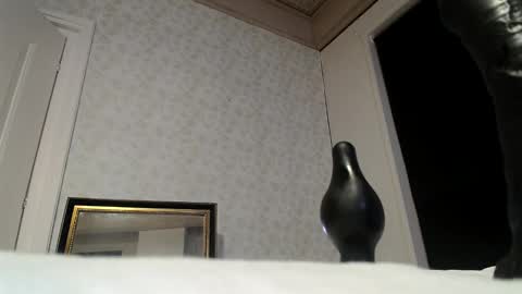 femboy710cum online show from February 25, 11:44 pm