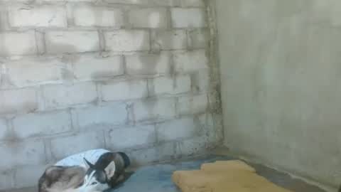 fernandez_latinblack online show from October 18, 12:43 pm