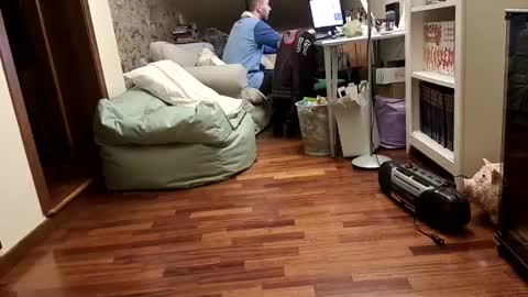 Fid online show from February 17, 8:58 pm