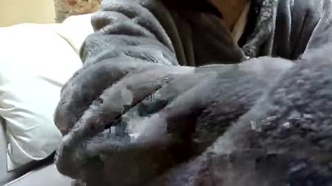 Fid online show from January 23, 2:50 pm