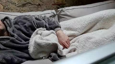 Fid online show from January 20, 10:40 am