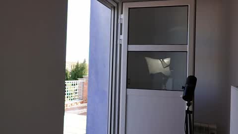 Marcos online show from April 3, 4:04 pm