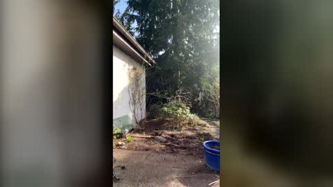 fit_foot_friend online show from March 6, 12:35 pm