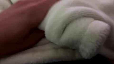 fitsunnyboy online show from October 2, 4:22 pm