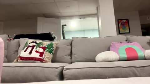 fittallhungdilf online show from January 10, 3:01 am