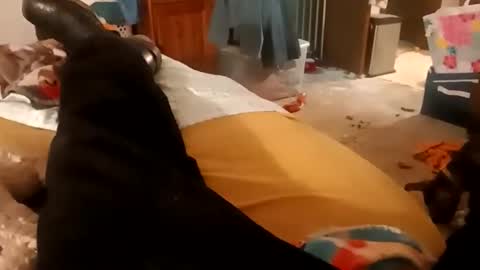 freddyalready online show from October 25, 12:12 am