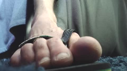 Greedy Fred online show from February 23, 2:41 pm