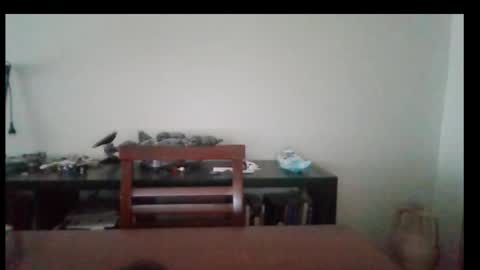 Bruchus online show from November 30, 8:27 am