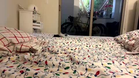 fuklicious online show from January 9, 12:19 pm