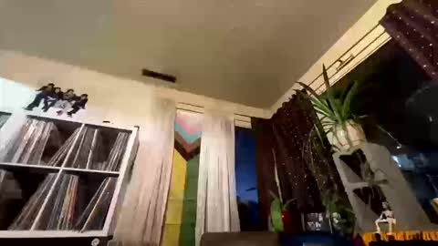 marvin pumpt online show from October 15, 1:46 am