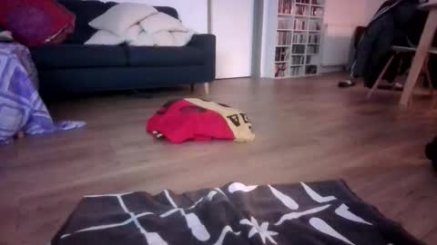 gaypuppychaste online show from December 23, 4:32 am