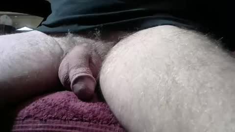 gemini_2 online show from February 18, 2:16 pm