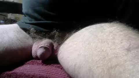 gemini_2 online show from January 9, 2:40 pm