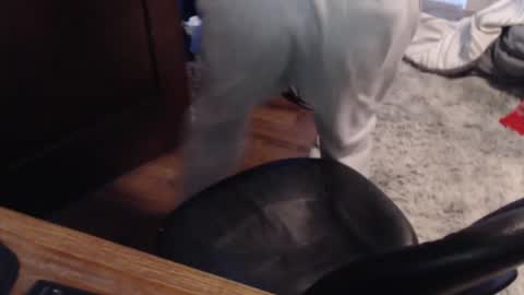 Snapshot of gethoggy chatting on January 25, 4:35 pm gethoggy online show from January 25, 4:35 pm