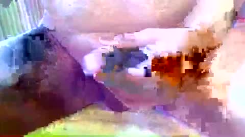 girafsnoop online show from March 29, 9:20 am