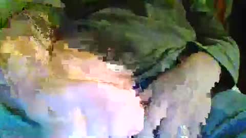 girthgonewild online show from November 20, 9:24 pm