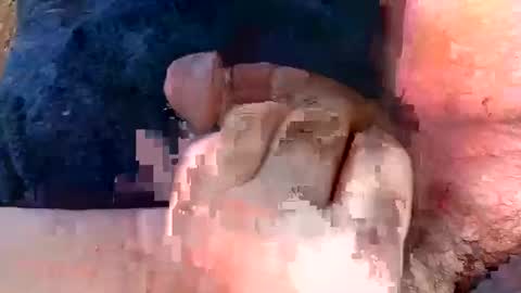 Gman online show from March 2, 6:03 pm