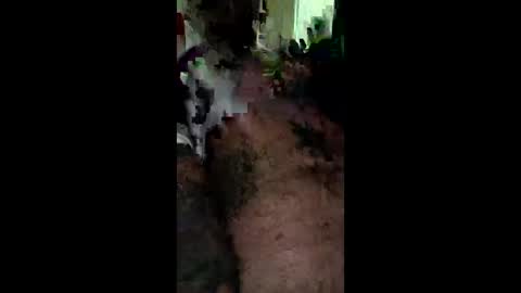 goodinbed69todd online show from December 17, 2:41 am