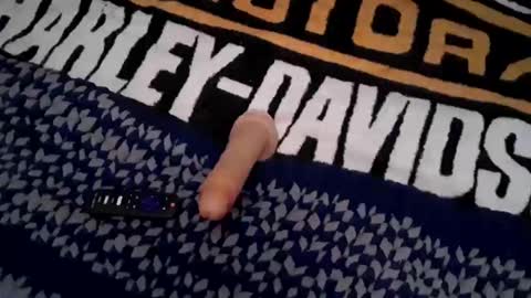 Lord Satan online show from September 11, 4:06 pm