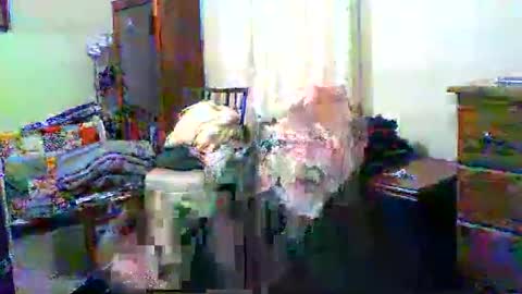 Gary online show from November 1, 11:03 am