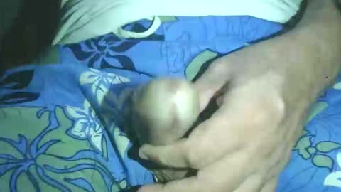 guidogomezcag online show from November 24, 9:32 am