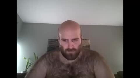 Hairiest Bear online show from December 21, 8:44 am