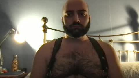 Hairy Guy online show from December 8, 7:22 pm