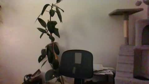 hairypussylover089 online show from August 6, 3:45 am