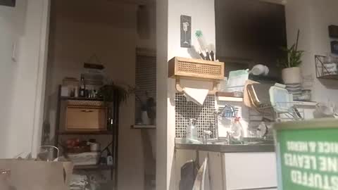 hakfin666 online show from March 9, 6:06 am