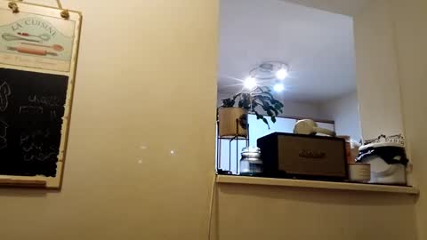 hakfin666 online show from January 31, 7:07 am