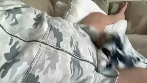 relax online show from March 24, 1:16 pm