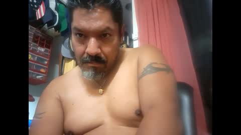 Hammy online show from December 6, 9:10 am