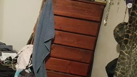 Funsize online show from April 23, 3:00 am