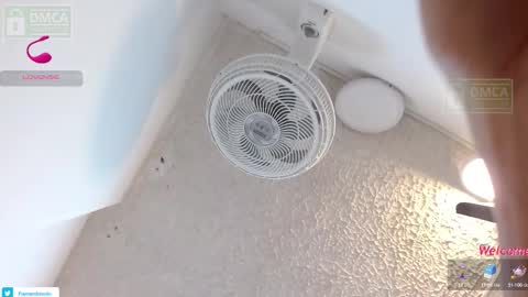 IM HAROLD online show from November 26, 1:25 pm