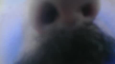 Snapshot of hayal758 chatting on December 14, 8:18 pm hayal758 online show from December 14, 8:18 pm