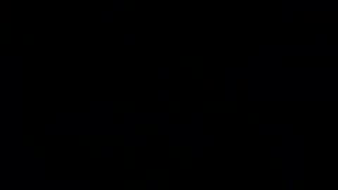 HazzHec online show from December 9, 5:13 pm