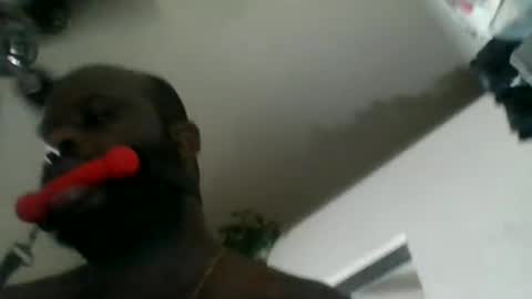 hbdj2164 online show from January 12, 12:31 pm