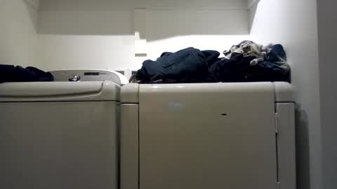 hdrsh08 online show from December 7, 11:56 pm