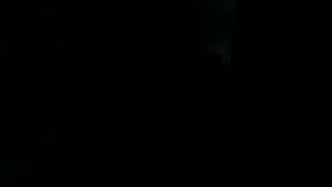 Herbert online show from December 6, 9:13 pm