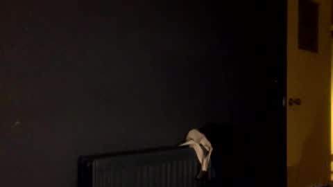 fit uk decorator online show from October 1, 8:57 pm